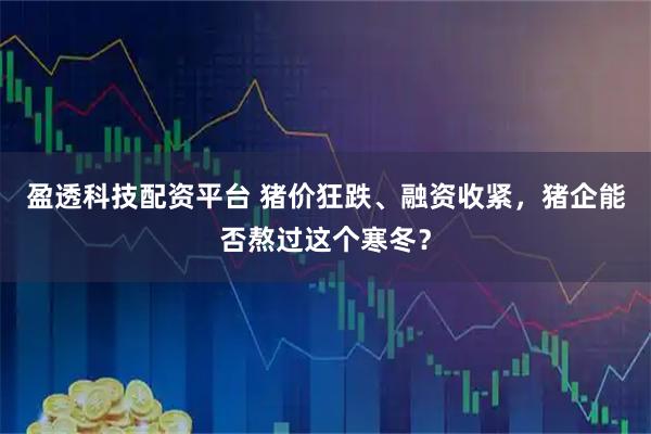 盈透科技配资平台 猪价狂跌、融资收紧，猪企能否熬过这个寒冬？
