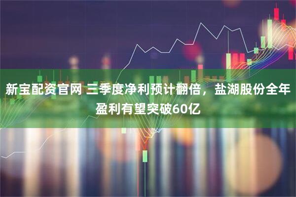 新宝配资官网 三季度净利预计翻倍,盐湖股份全年盈利有望突破60亿