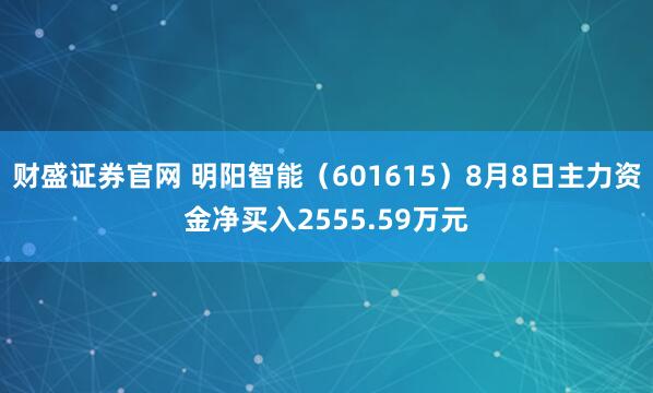 财盛证券官网 明阳智能（601615）8月8日主力资金净买入2555.59万元